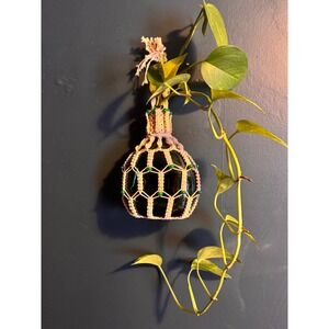 Bohemian Glass Macrame Bottle